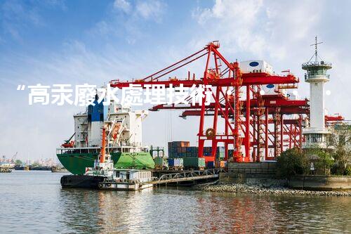“高汞廢水處理技術，綠色環(huán)保新篇章”